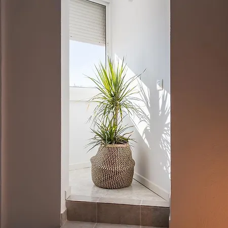Apartment Malagasuite City Center Arango Malaga